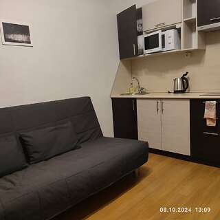 Гостиница Доброславия Ростов-на-Дону Апартаменты с 1 спальней-4