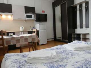 Гостиница Доброславия Ростов-на-Дону Улучшенный номер-студия-3